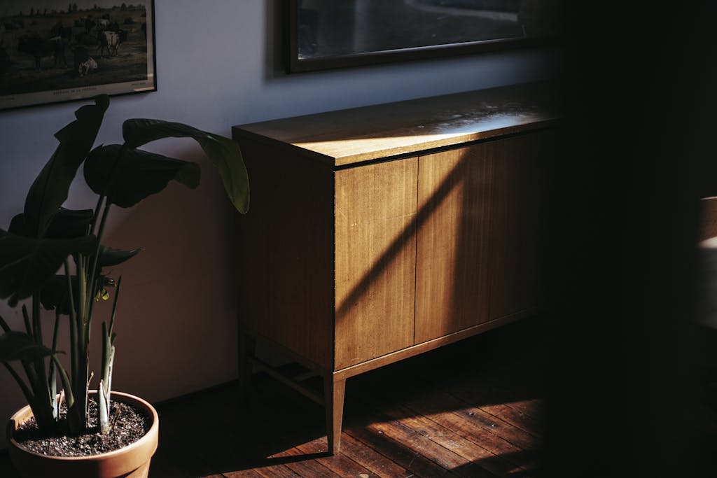 Sunlit interior with a vintage wooden cabinet and lush potted plant.